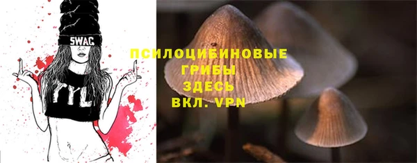 бошки Алзамай