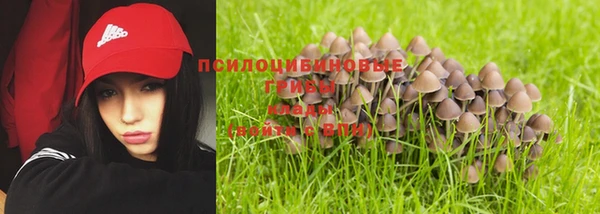 индика Алексеевка