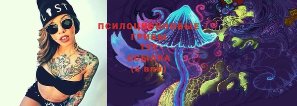бошки Алзамай