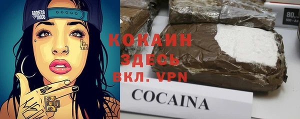 индика Алексеевка