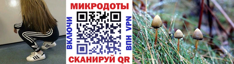 Псилоцибиновые грибы мицелий  Апшеронск 